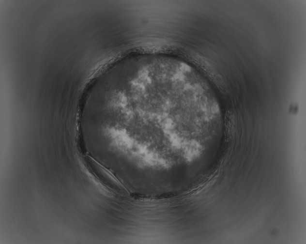X0000090950590200708241131