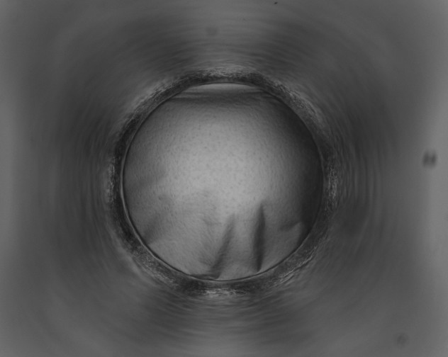 X0000090950591200708241131