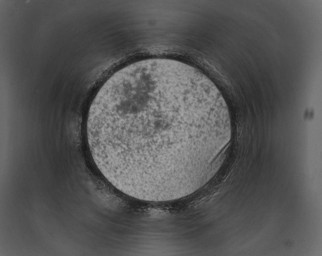 X0000090950592200708241131