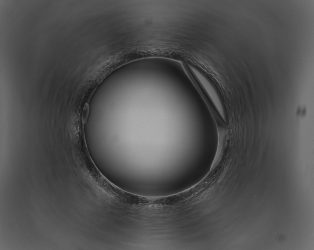 X0000090950593200708241130