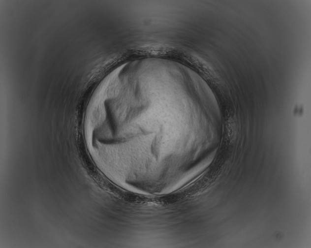 X0000090950594200708241130