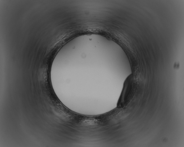 X0000090950595200708241130