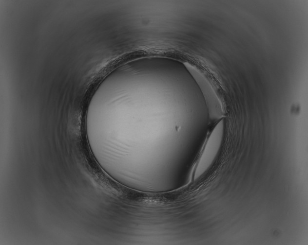 X0000090950596200708241130