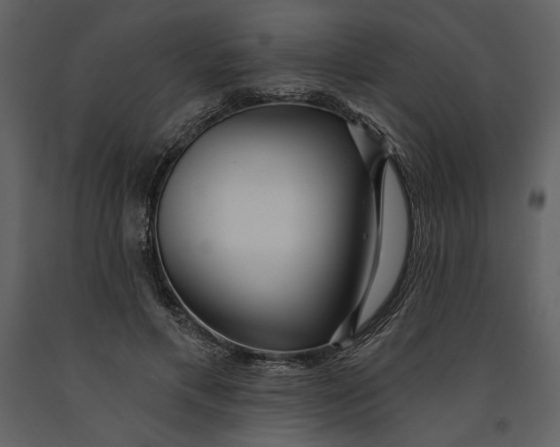 X0000090950597200708241130