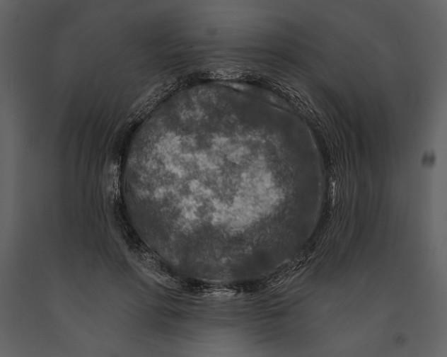 X0000090950598200708241130