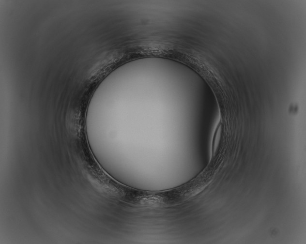 X0000090950599200708241130