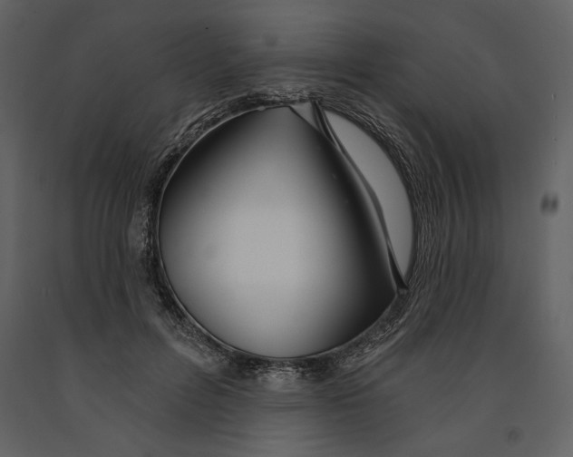 X0000090950600200708241130