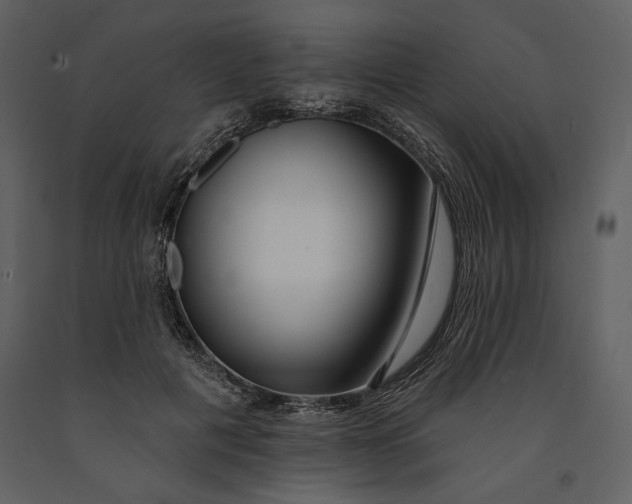X0000090950601200708241130