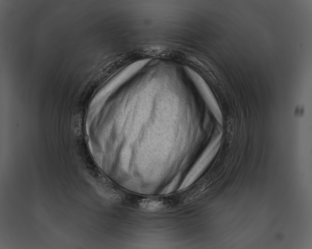 X0000090950602200708241130