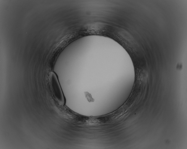 X0000090950603200708241130