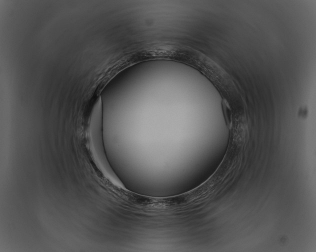 X0000090950604200708241130