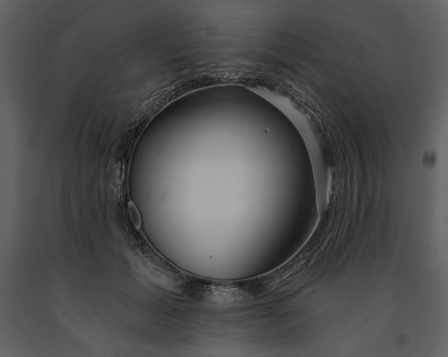 X0000090950605200708241130