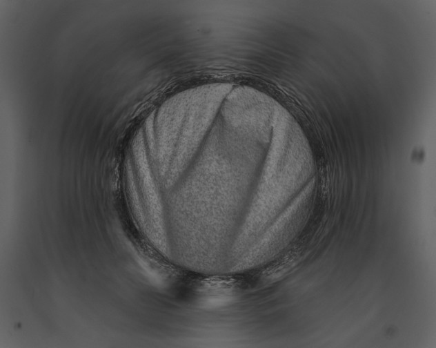 X0000090950606200708241130