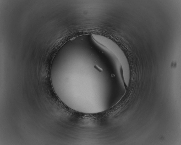 X0000090950608200708241130