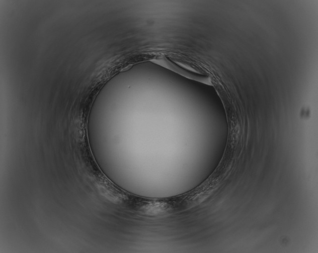X0000090950609200708241130