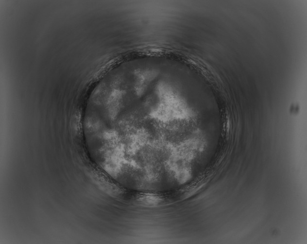 X0000090950610200708241130