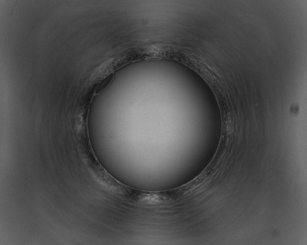 X0000090950611200708241130