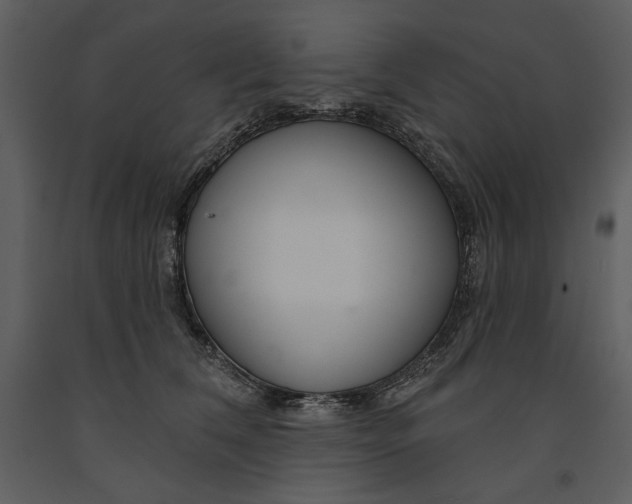 X0000090950612200708241130