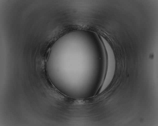 X0000090950613200708241130