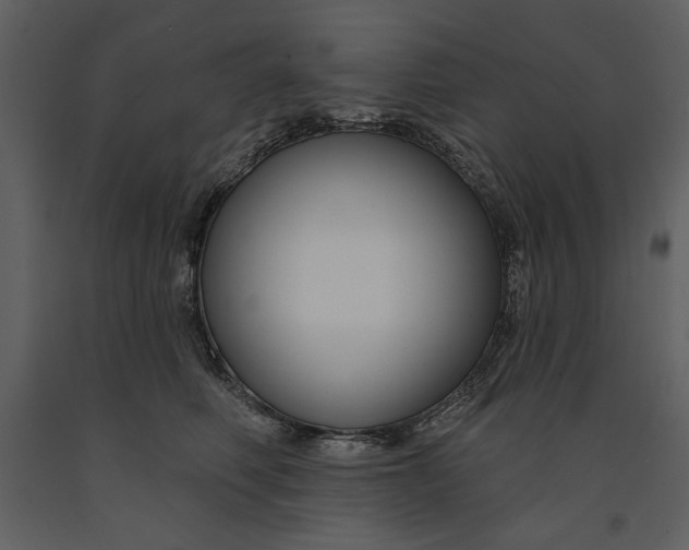 X0000090950614200708241130