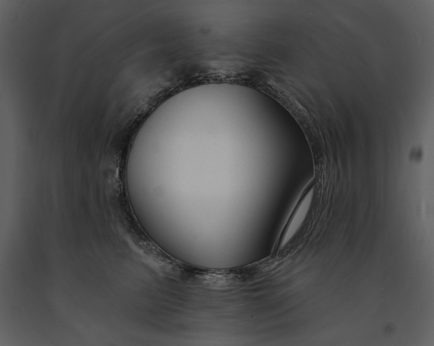 X0000090950615200708241130
