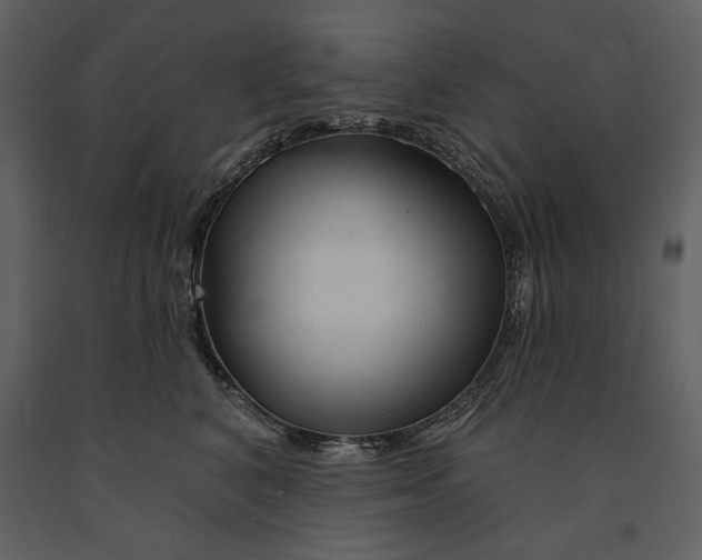 X0000090950616200708241130