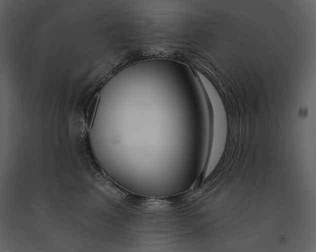 X0000090950617200708241130