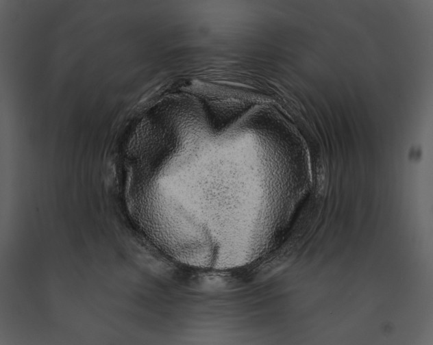 X0000090950618200708241130