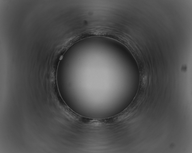 X0000090950620200708241130