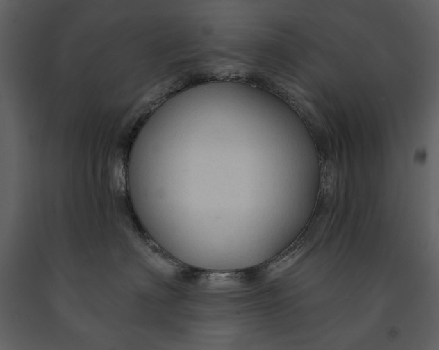 X0000090950622200708241130