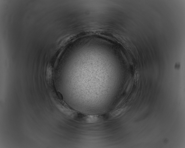 X0000090950623200708241130