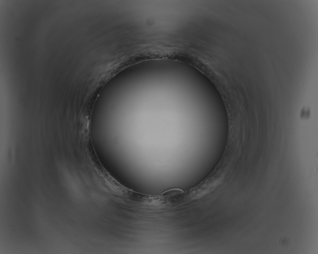 X0000090950624200708241130