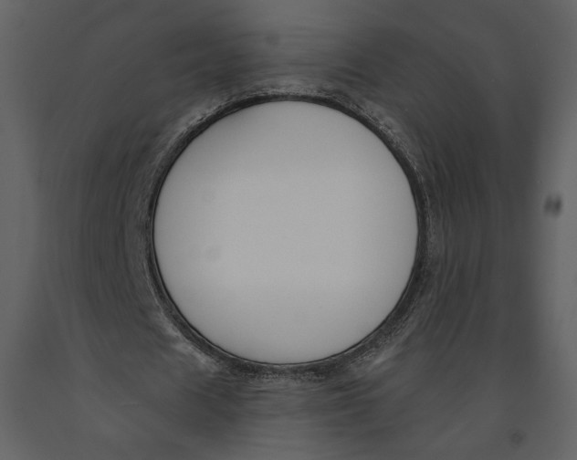 X0000090950625200708241129