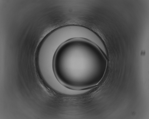 X0000090950626200708241129