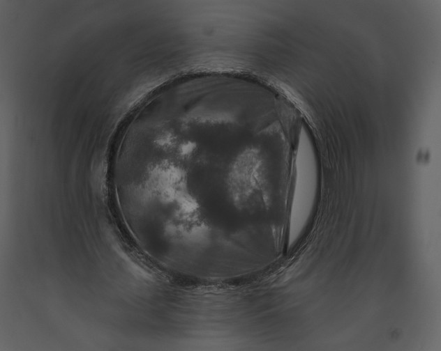 X0000090950627200708241129
