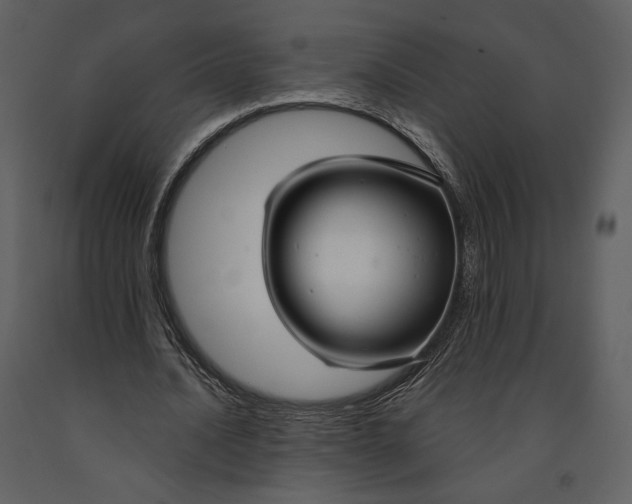 X0000090950628200708241129