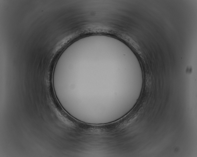 X0000090950629200708241129