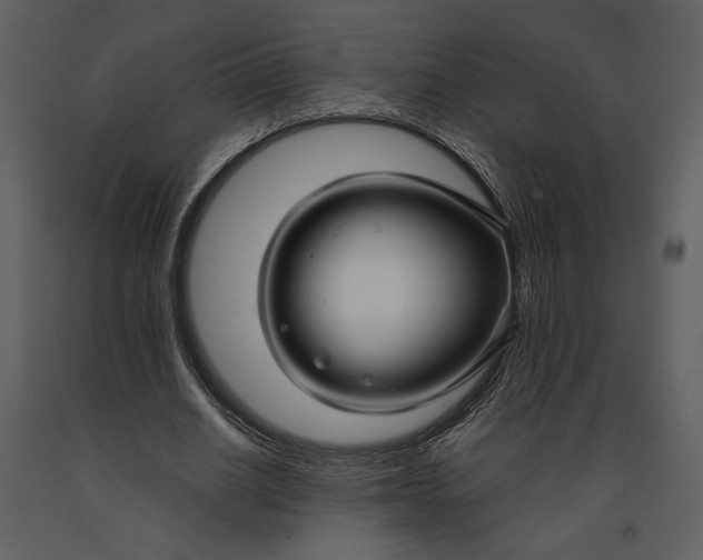 X0000090950630200708241129