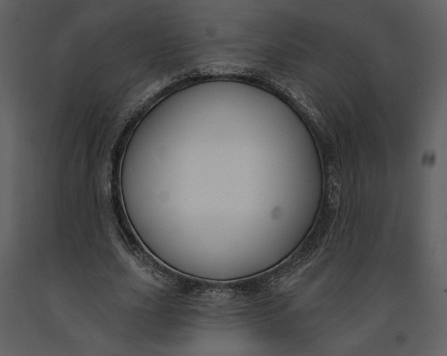 X0000090950631200708241129