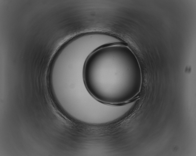 X0000090950632200708241129