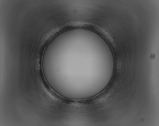 X0000090950633200708241129