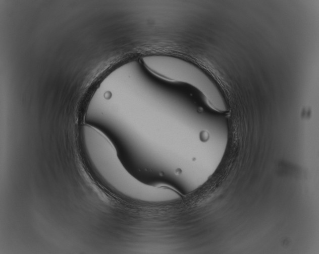 X0000090950634200708241129