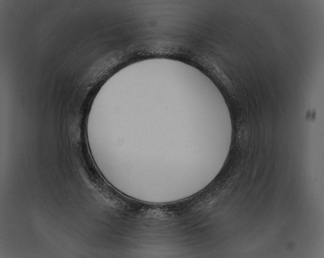 X0000090950635200708241129
