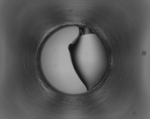 X0000090950636200708241129