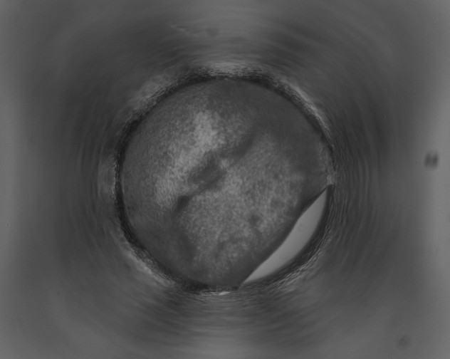 X0000090950637200708241129