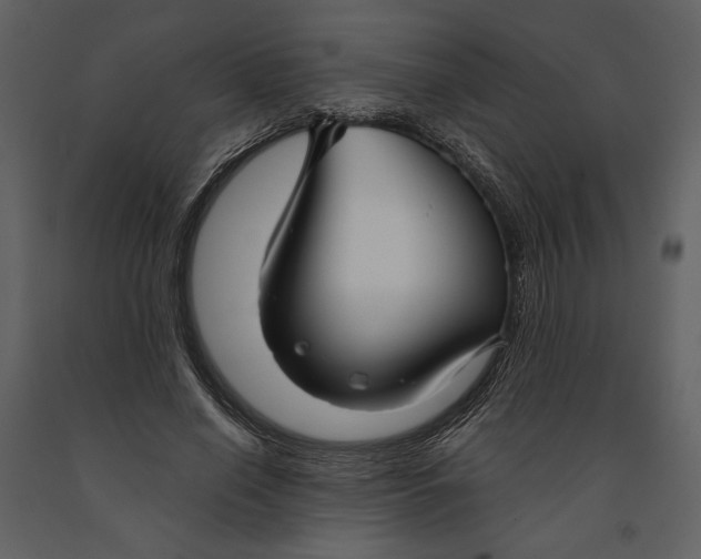 X0000090950638200708241129