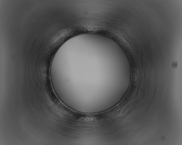 X0000090950639200708241129