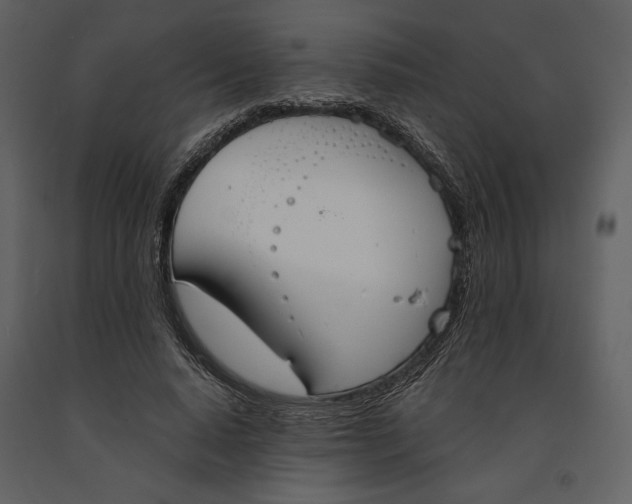 X0000090950640200708241129