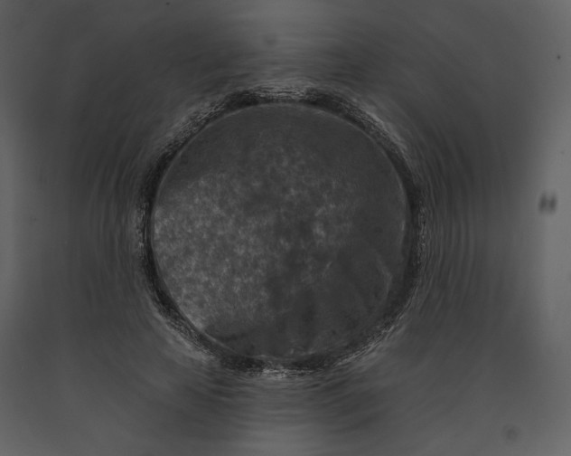 X0000090950641200708241129
