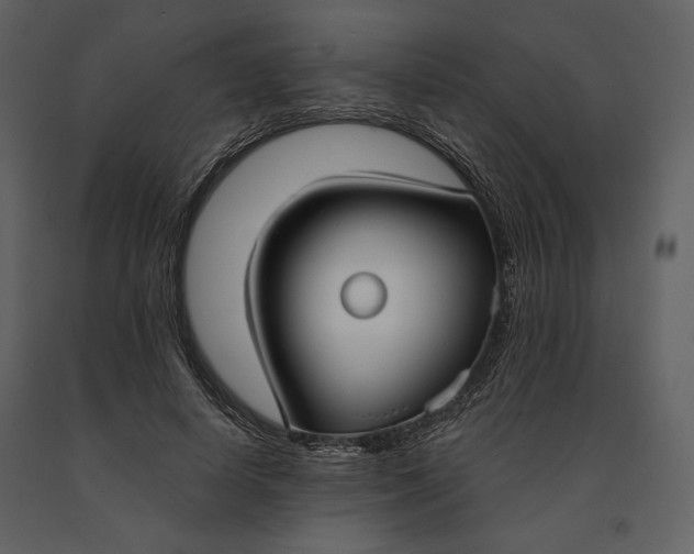 X0000090950642200708241129